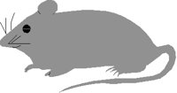RAT.PCT