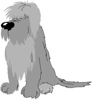 SHAGGY.PCT