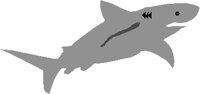 SHARK.PCT