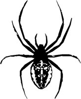 SPIDER.PCT