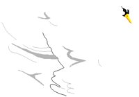 SWAN.PCT