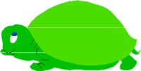 TURTLE.PCT