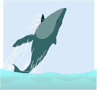 WHALE.PCT