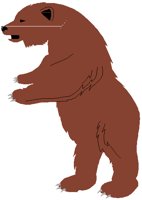 BEAR2.PCT