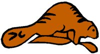 BEAVER.PCT