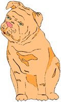 BULLDOG.PCT