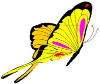 BUTTRFLY.PCT