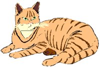 CAT.PCT