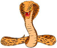 COBRA.PCT