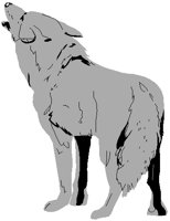 COYOTE.PCT
