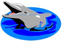 DOLPHIN.PCT