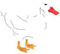 DUCK.PCT