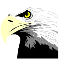 EAGLE1.PCT