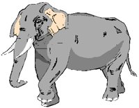 ELEPHANT.PCT
