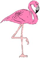 FLAMINGO.PCT