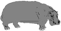HIPPO.PCT