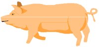 HOG.PCT
