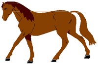 HORSE.PCT