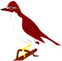 HTHRUSH.PCT