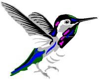 HUMNBIRD.PCT