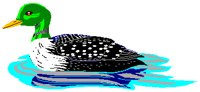 LOON.PCT