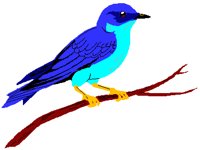 MBLUBIRD.PCT