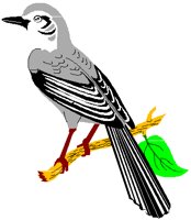 MOCKBIRD.PCT