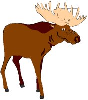 MOOSE.PCT
