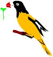 ORIOLE.PCT
