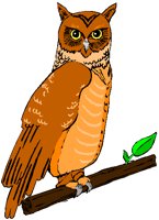OWL.PCT