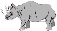RHINO.PCT