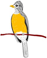 ROBIN.PCT