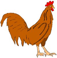 ROOSTER1.PCT