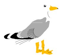 SEAGUL1.PCT
