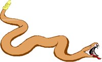SNAKE.PCT