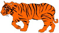 TIGER.PCT