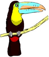 TOUCAN.PCT