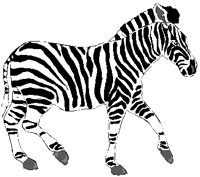 ZEBRA.PCT