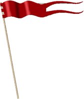 FLAG2.PCT