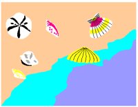 SEASHELL.PCT