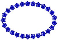 BLUESTAR.PCT