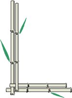 BAMBOO1.PCT