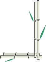 BAMBOO4.PCT