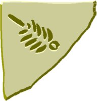 FOSSIL1.PCT