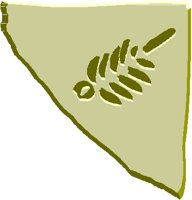 FOSSIL2.PCT