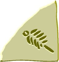 FOSSIL3.PCT