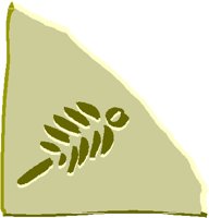 FOSSIL4.PCT