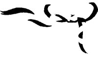 KNOT2.PCT