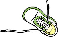 SNEAKER3.PCT