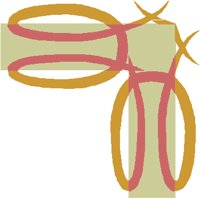 THORN2.PCT